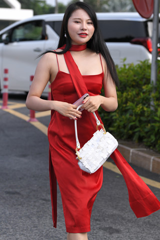 时尚的红裙朲槭